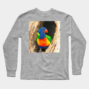 Rainbow Lorikeet Long Sleeve T-Shirt